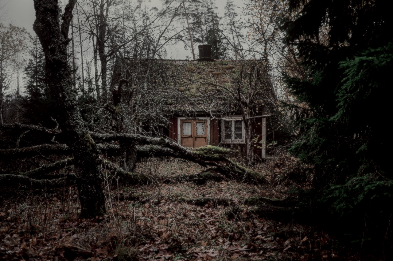 Houses_Forests_461329
